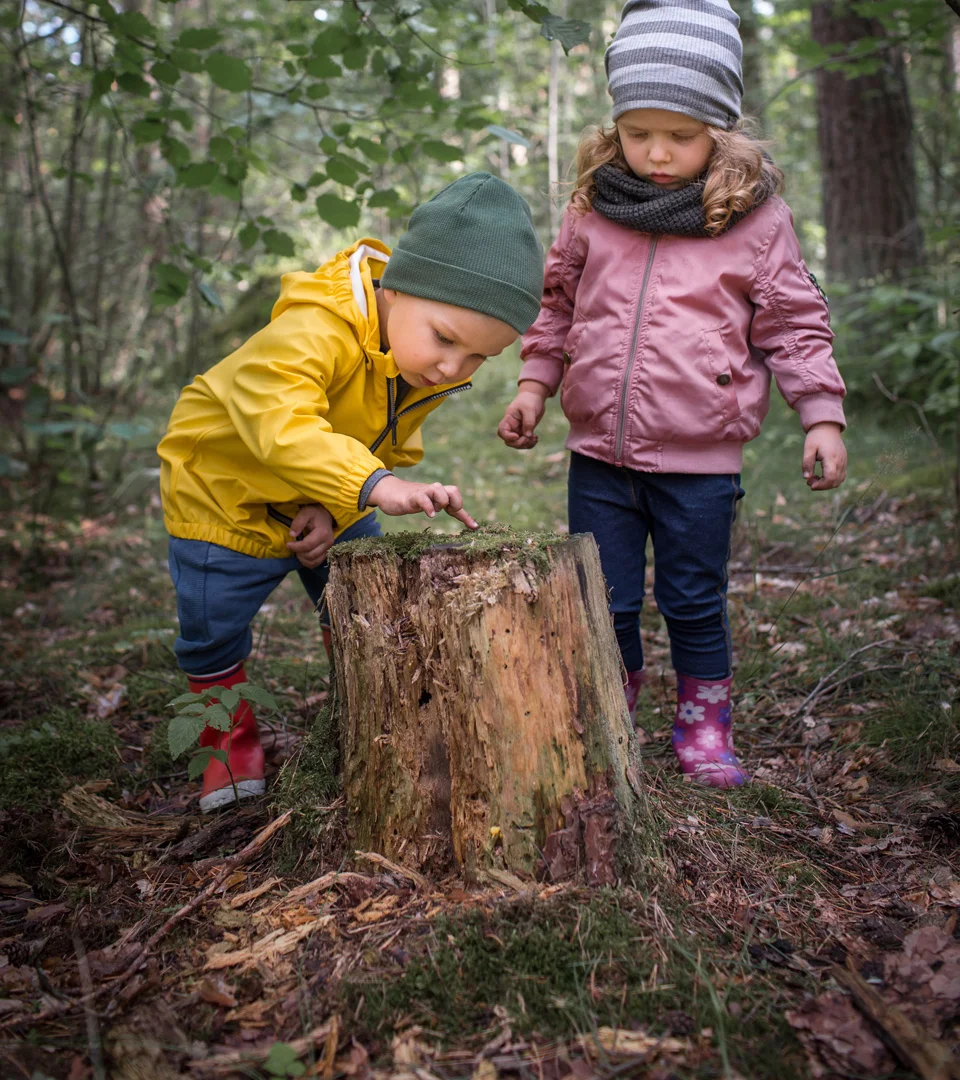 Nature Preschool Exploration
